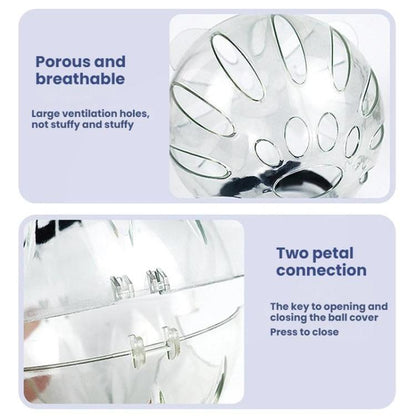 TBD06061765_B3.jpg@4b33cd9985a7597dd2efd6f269cabde0