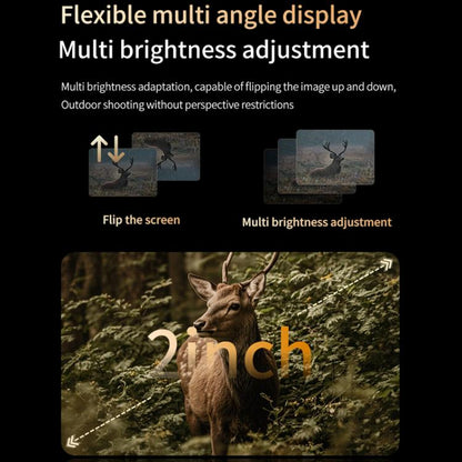 TBD0606199401_4.jpg@446fa43e6d532eb5bd5dc3af5d098c4b