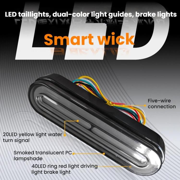 Smoked-lens LED tail light with five-wire connector and dual light channels