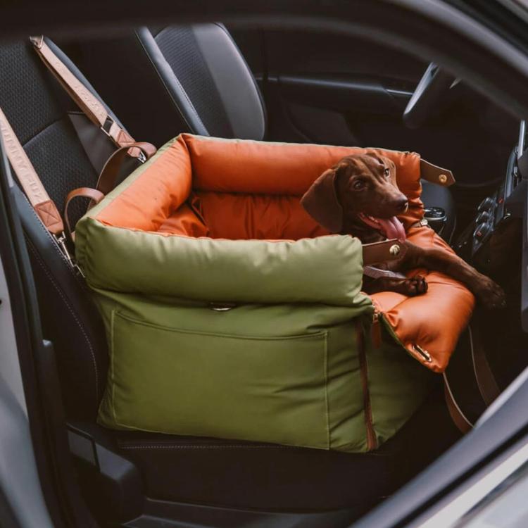 Green pet car seat bed with orange top bolster, padded sides, pet dog inside