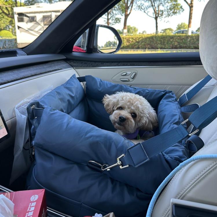Blue pet car seat bed with high sides and straps, small dog lying inside