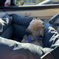 Blue pet car seat bed in the back seat with padded floor, dog resting inside