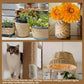 Natural hemp rope used for planters, cat scratching post, and pendant light trim