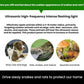 Five-Level Frequency-Modulated Outdoor Ultrasonic Solar-Powered Animal Repellent Device, 711