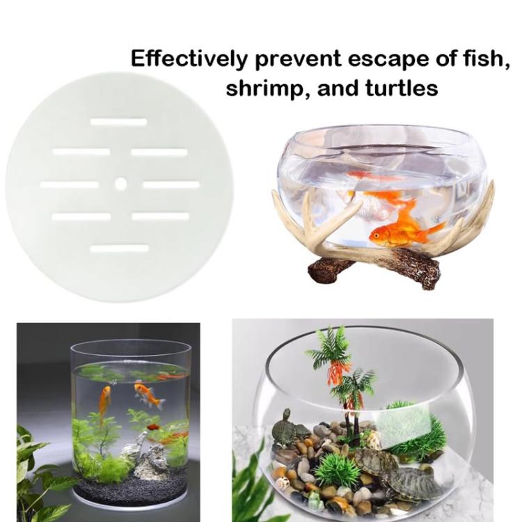 Circular clear acrylic anti-jump cover with perforations on a glass fish tank