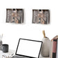 Wall-mounted clear acrylic magazine holders holding books above a seating area