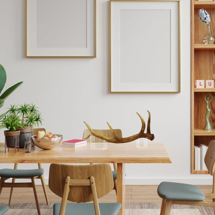 Clear acrylic antler holder on table with brown antlers resting on the stand