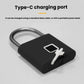 Fingerprint Padlock Compatible Tuya Smart App, 30 Fingerprint Capacity, USB-C Rechargeable, Zinc Alloy Body