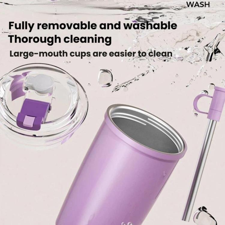 316 Stainless Steel Insulated Coffee Cup Vacuum Double-Wall Straw Cup, 300ml