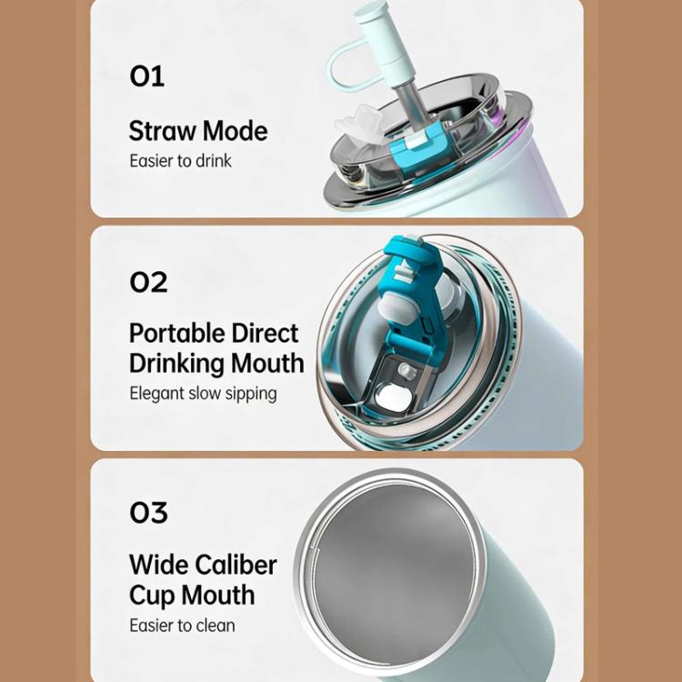 316 Stainless Steel Insulated Coffee Cup Vacuum Double-Wall Straw Cup, 300ml