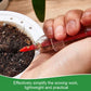 3pcs Garden Bonsai Syringe-Type Seed Planter Handheld Planting Seedling Tool