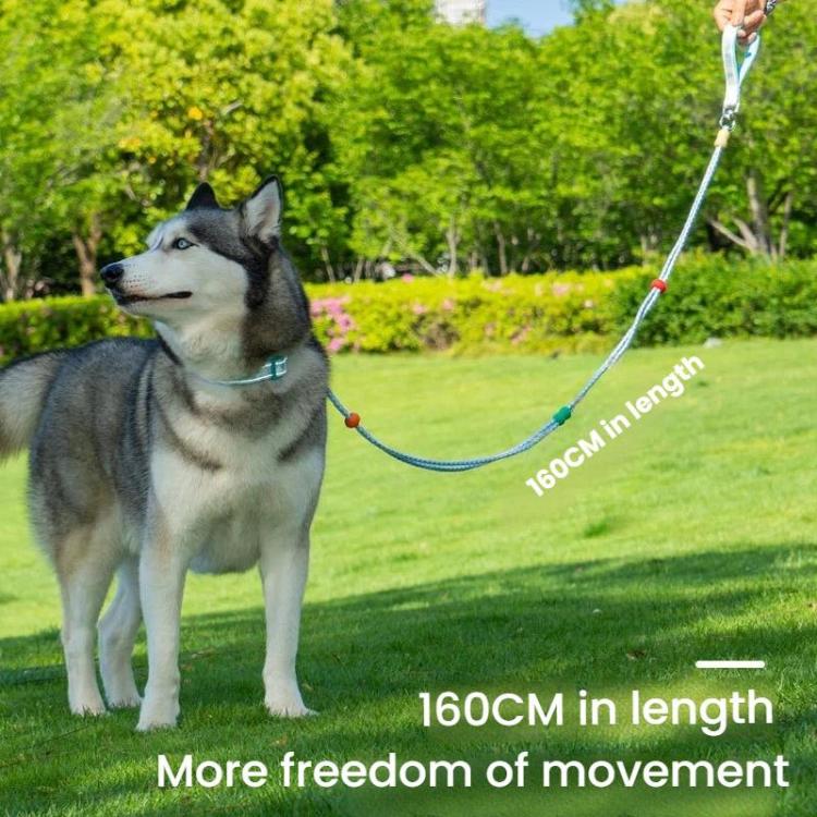 Pet Double-section P-shaped Leash Multi-functional Collar Walking Lead, S, M