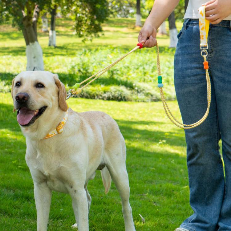 Pet Double-section P-shaped Leash Multi-functional Collar Walking Lead, S, M