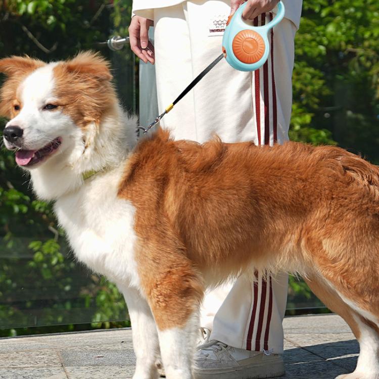 Automatic Retractable Dog Leash 3 Meters For Pet Outdoor Use