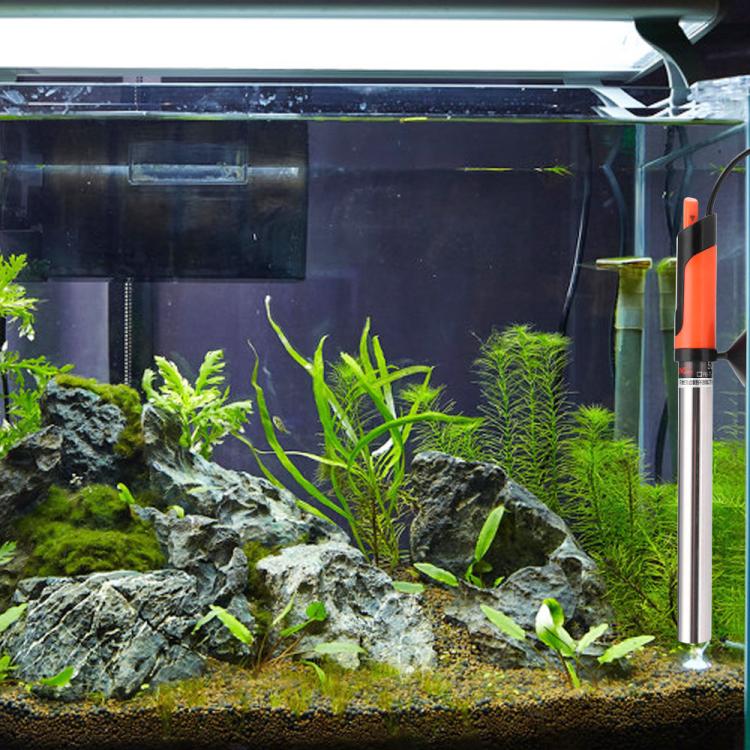 Stainless steel submersible aquarium heater with orange top mounted inside fish tank