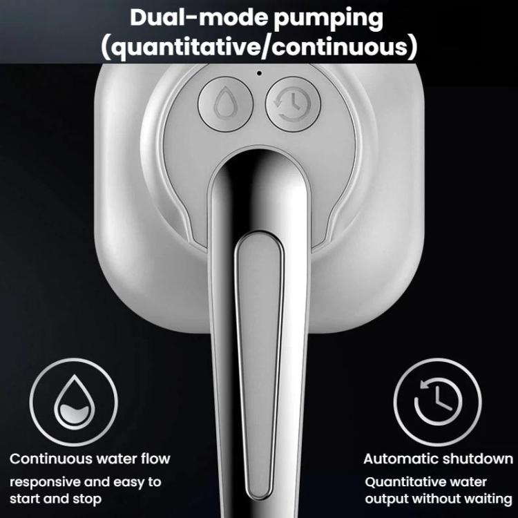 Portable electric water pump front panel with power and mode buttons