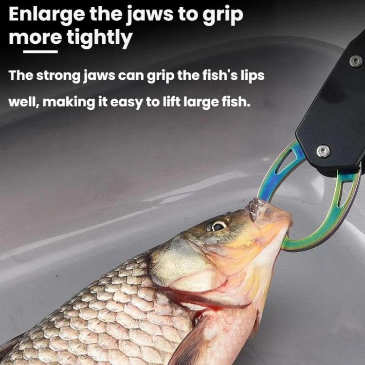 Fishing hook remover jaws gripping a fish by the lip, with safety ring attachment