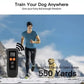 Black dog training collar receiver and remote in outdoor use position.