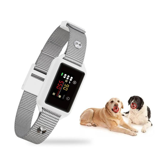 Smart no-shock bark collar for dogs with color screen, gray fabric strap and display.