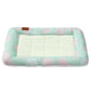 Pet cooling bed pad with quilted backrest pillow, mint patterned edge and white cushion