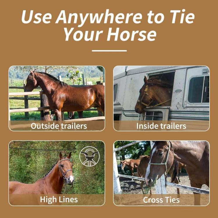 Stainless rope buckle for horse tying, multi-use infographic