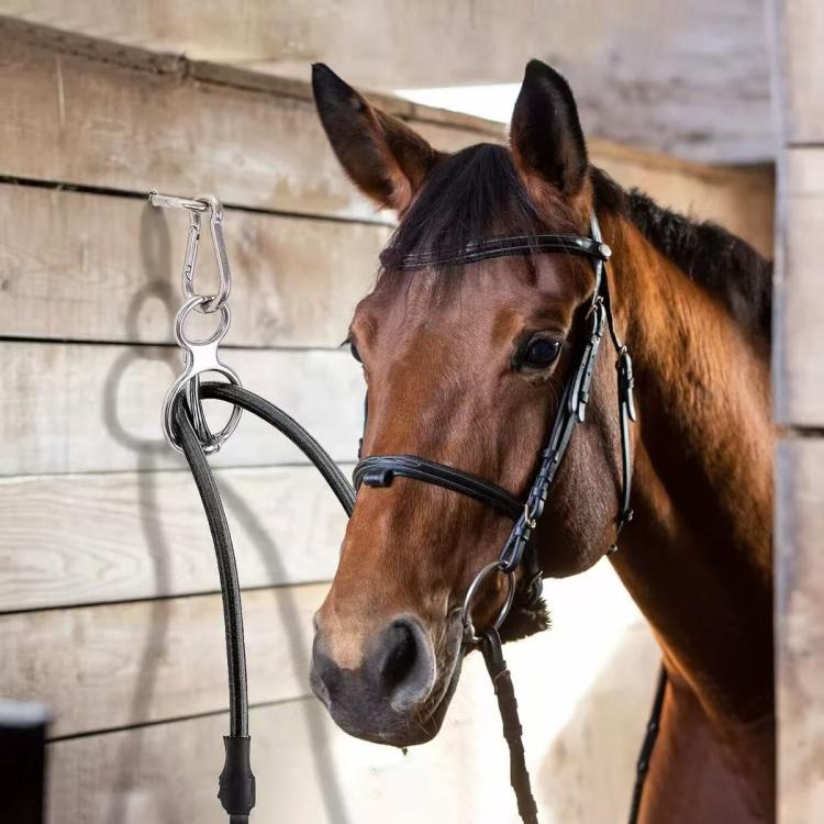 Stainless tether buckle with round ring on a horse tie