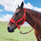 Braided lead rope with red and black pattern and metal hardware on horse