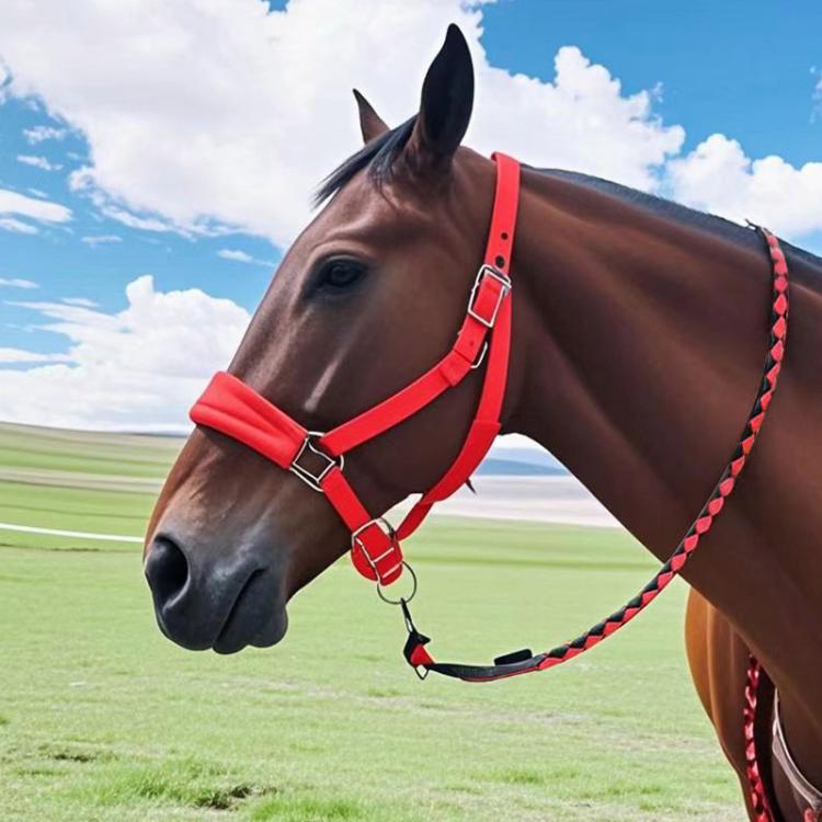 Braided lead rope with red and black pattern and metal hardware on horse