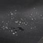 Close-up of dark gray waterproof fabric with water droplets beading on surface