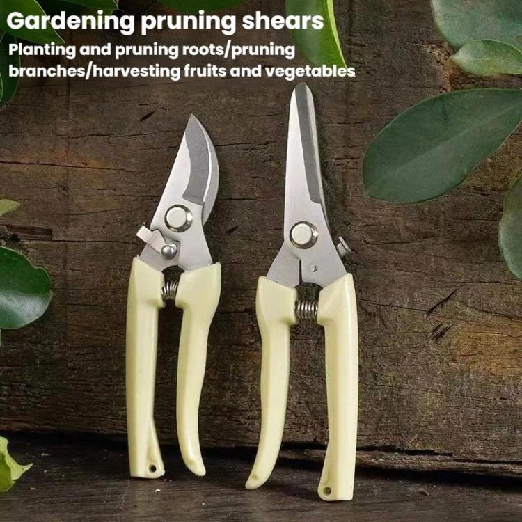Two ivory-handled stainless steel pruning shears: straight and curved blades