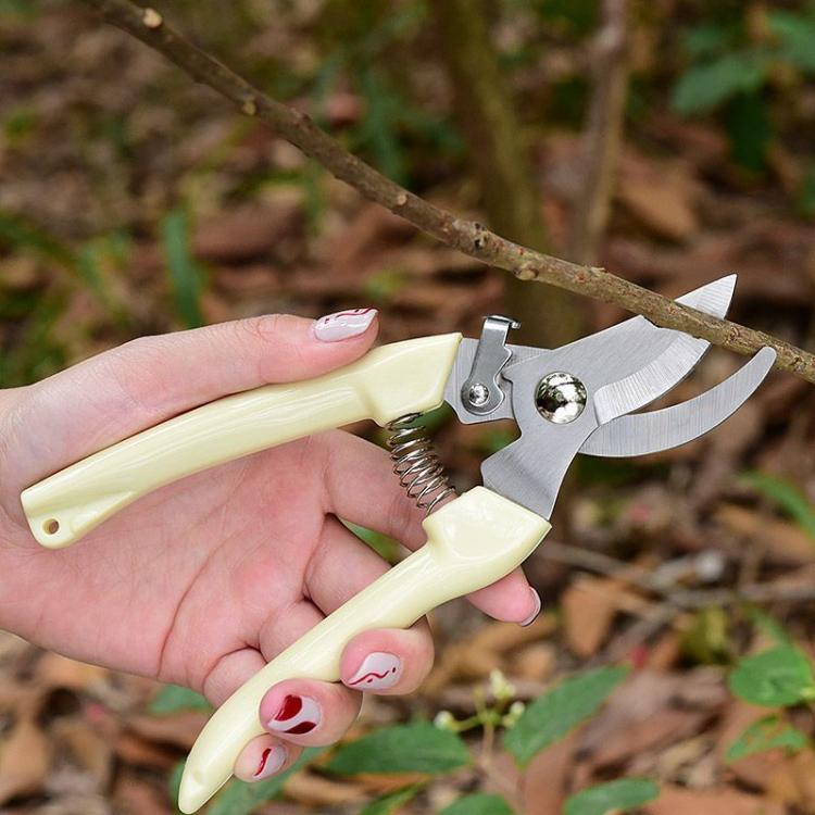 Ivory-handled pruning shears in hand, stainless steel blades for trimming