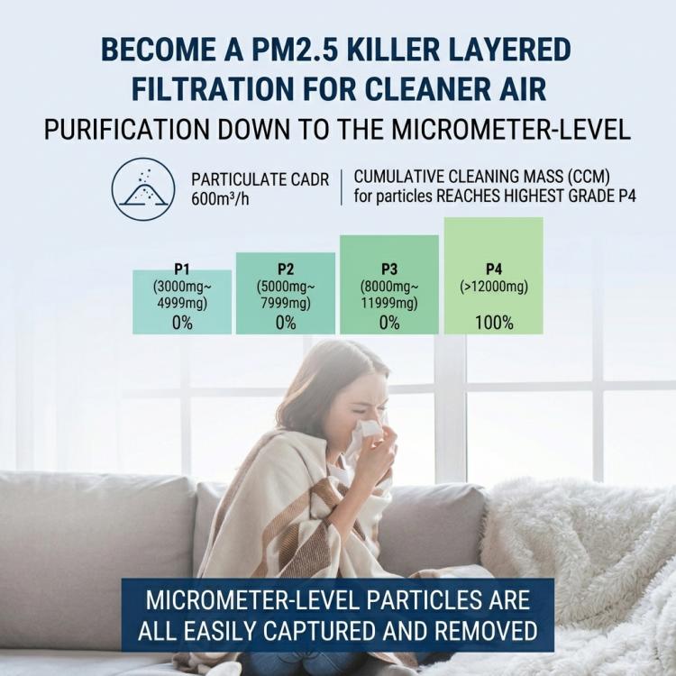 Layered filtration diagram for PM2.5 capture with micrometer particle illustration