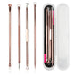 Rose gold blackhead extraction tool set with 4 loop tips and needles, in clear case