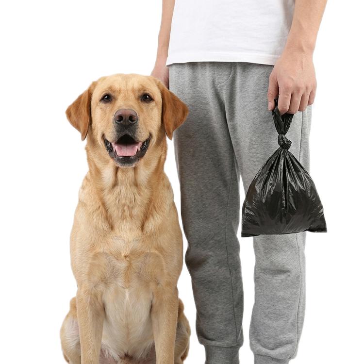 Portable pet trash bag: dark gray tied bag held by person, pet visible