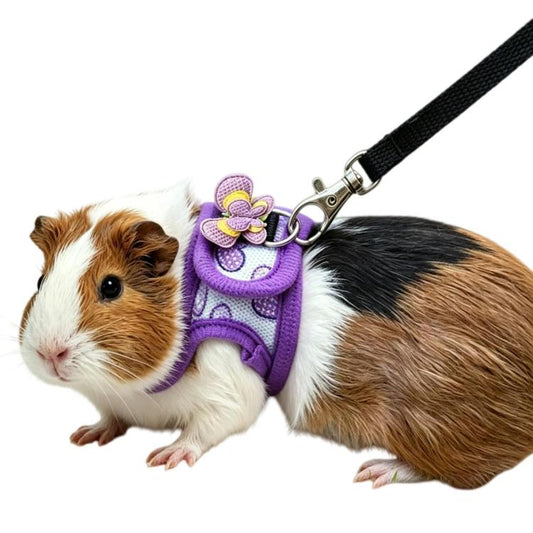 Guinea Pig Chinchilla Harness, Outdoor Walking Leash For Small Pets, Black S, Black M, Purple S, Purple M, Star S, Star M