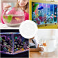 White round acrylic anti-jump cover with hole openings for aquarium tank tops