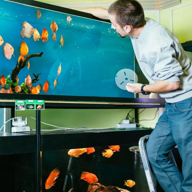 White round acrylic anti-jump cover with hole cutouts near an aquarium tank