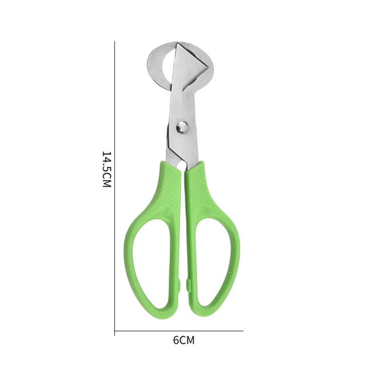 LsCook Quail Egg Scissors Stainless Steel Egg Cutter