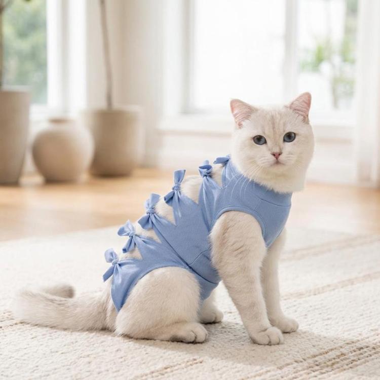 Blue cat recovery suit with ribbon bow accents, worn by kneeling pet