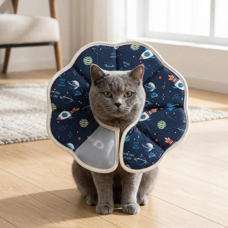 Cat model wearing navy soft anti-lick cone collar, space print fabric and white edging