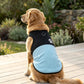 Color Block Dog Vest With Paw Print, Breathable Mesh Pet Harness Vest With Leash Attachment, XS, S, M, L, XL, 2XL