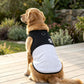 Color Block Dog Vest With Paw Print, Breathable Mesh Pet Harness Vest With Leash Attachment, XS, S, M, L, XL, 2XL