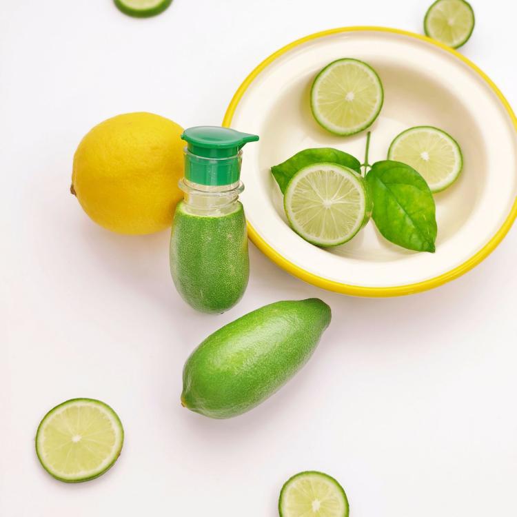 LsCook 2-Piece Set Lemon Manual Juicer