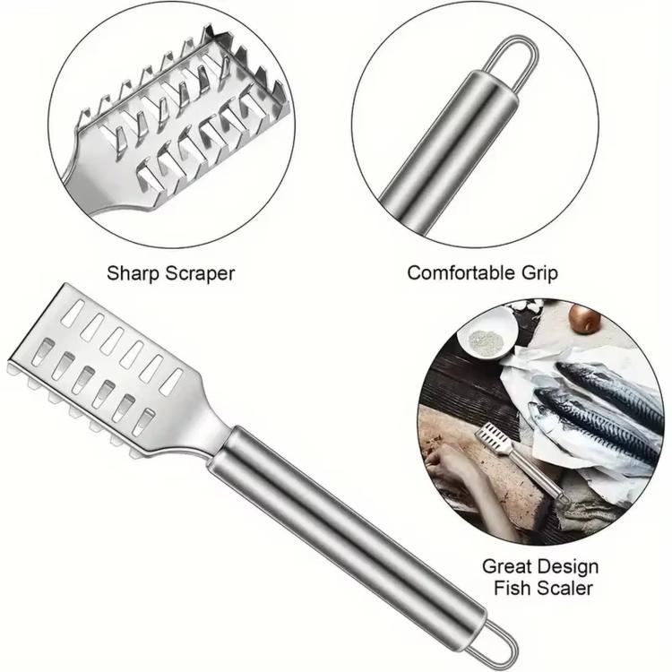 Stainless Steel Fish Scaler, LsCook Square