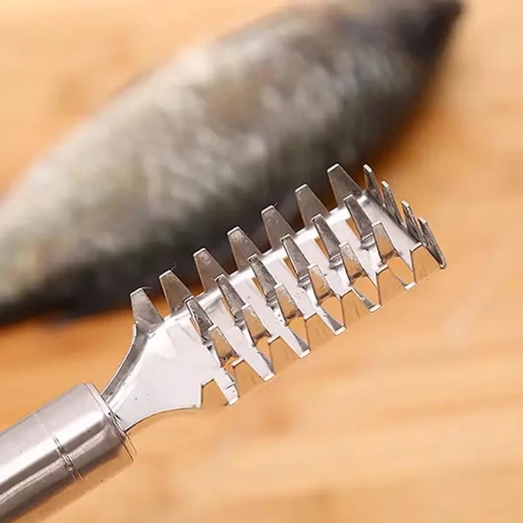 Stainless Steel Fish Scaler, LsCook Square