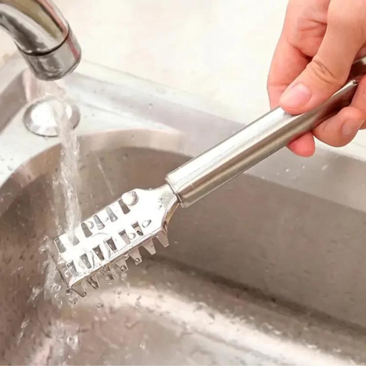 Stainless Steel Fish Scaler, LsCook Square