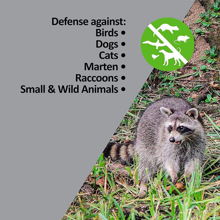 Green square repeller device outdoors near grass and small wild animal