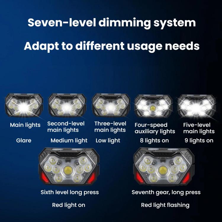 Black headlamp LED array with multiple brightness levels shown