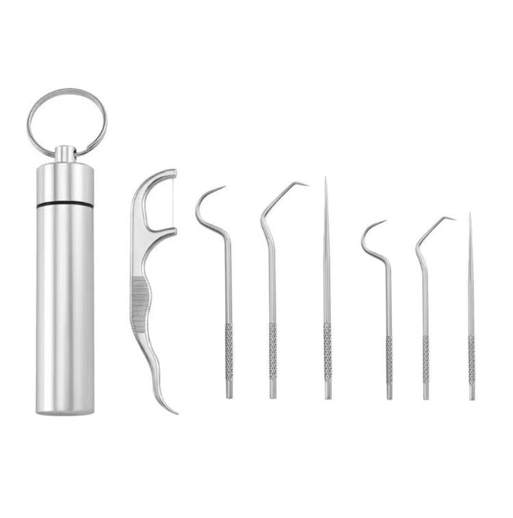 Reusable stainless steel dental pick set with portable case and seven curved and straight picks