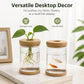 Two clear self-watering desktop planters with tan lids, one with small fish